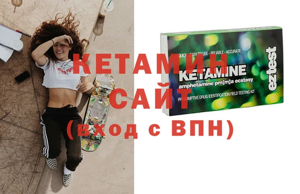 сатива Новодвинск