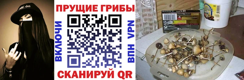 Галлюциногенные грибы мицелий  Чухлома 